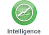 Intelligence